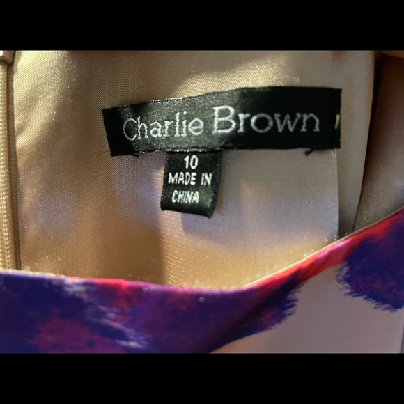 Formal Charlie Brown Dress with matching waist tie. - Picture 4 of 4